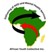 african youth collective