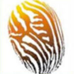 African Think Tank Inc